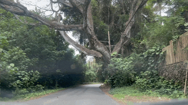 A Locals Guide To An Oahu Road Trip Waimanalo To Kahana Cover