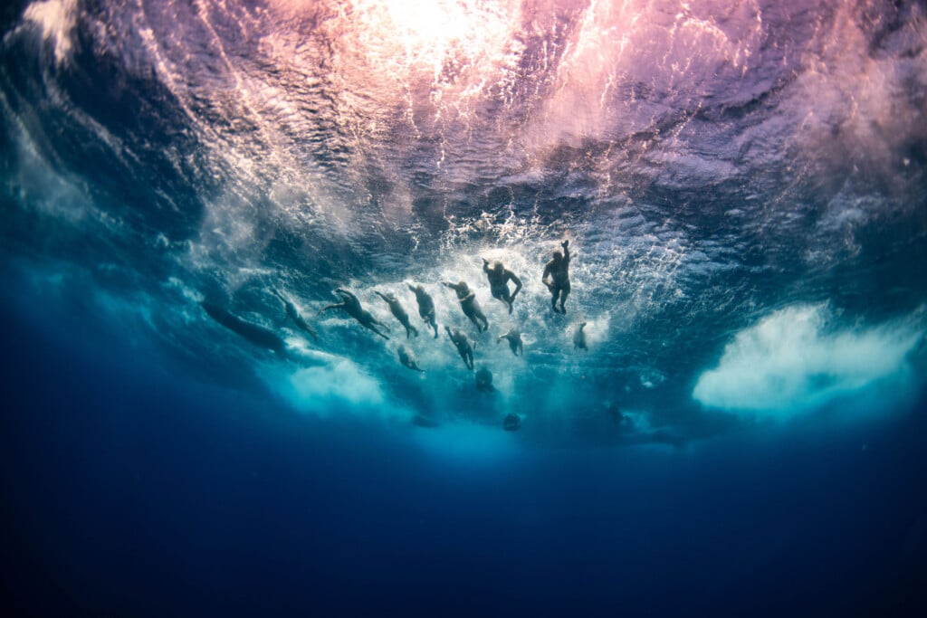 Credit Dayanidhi Das Epic Swim Maui