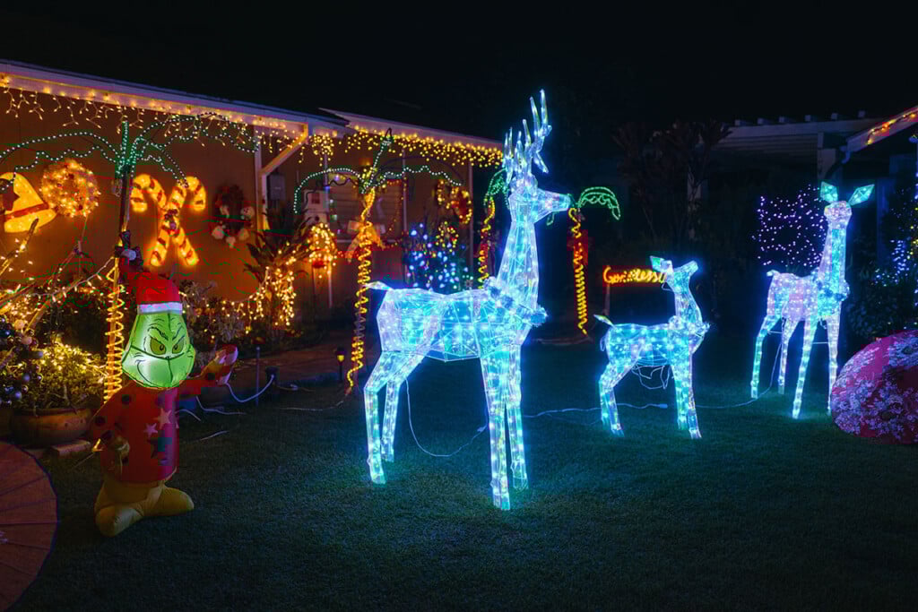 Hn2412 Ay Xmas Lights Leleu Pl 30