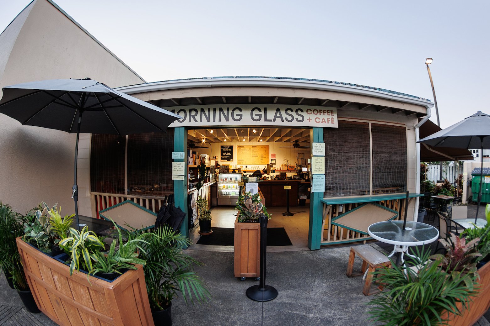 Hn2502 Ay Morning Glass 3 Copy