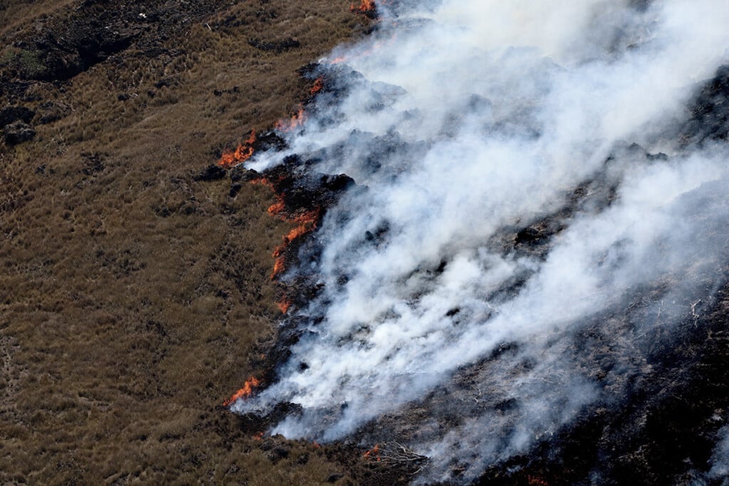 Leilani Fire Featured Image