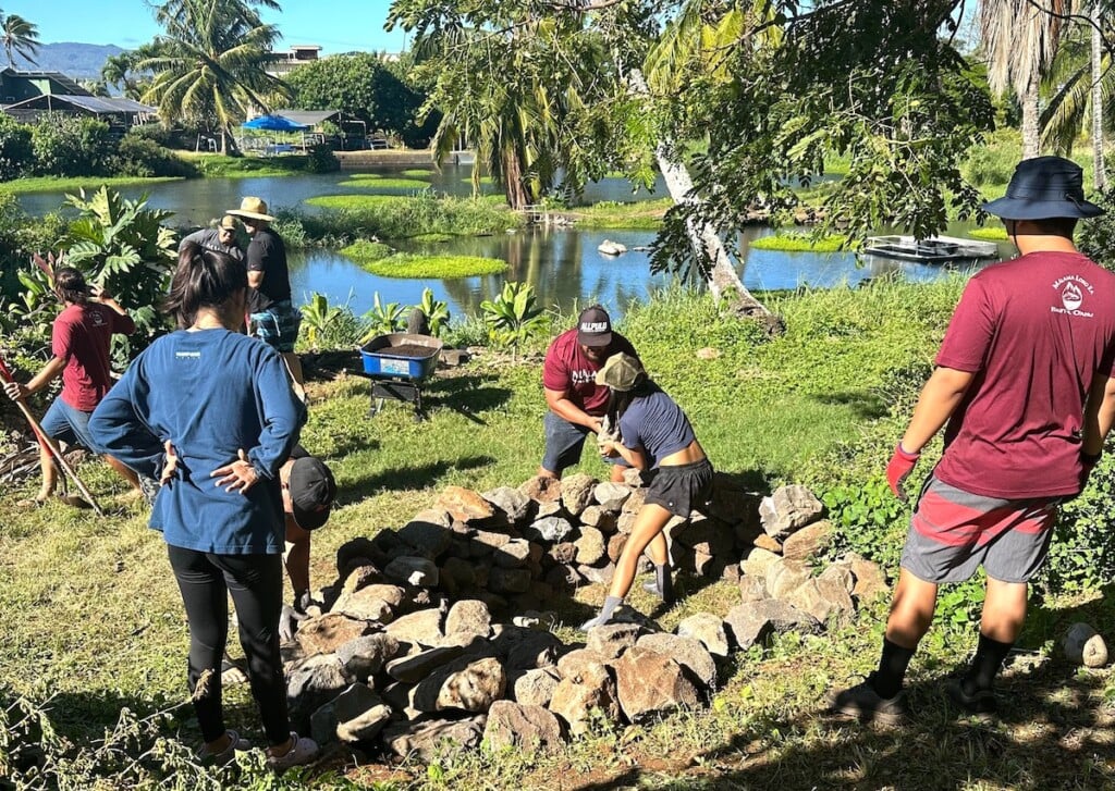 volunteering at a fishpond on oahu