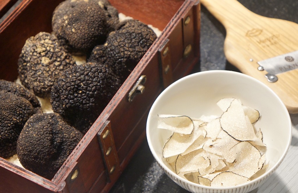 Margotto Tkg Truffle Pc Melissa Chang