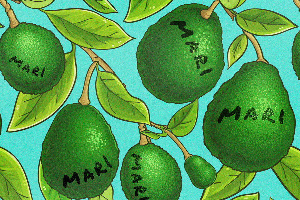 Afterthoughts Mari Avocados Crop