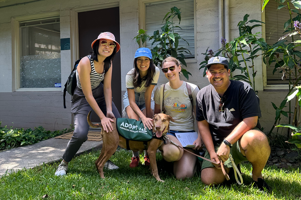 Group Pic With Sesame Pc Hawaiian Humane Society