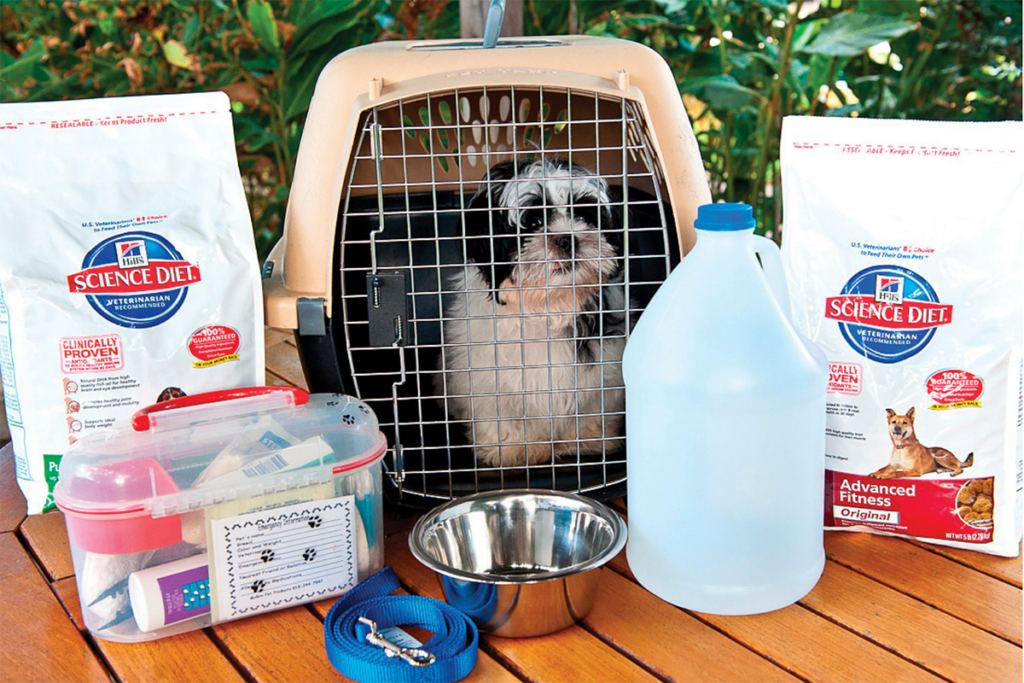 Pet Disaster Prep
